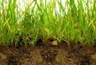 Kingsgrovesub-soil-drainage-6.jpg; ?>